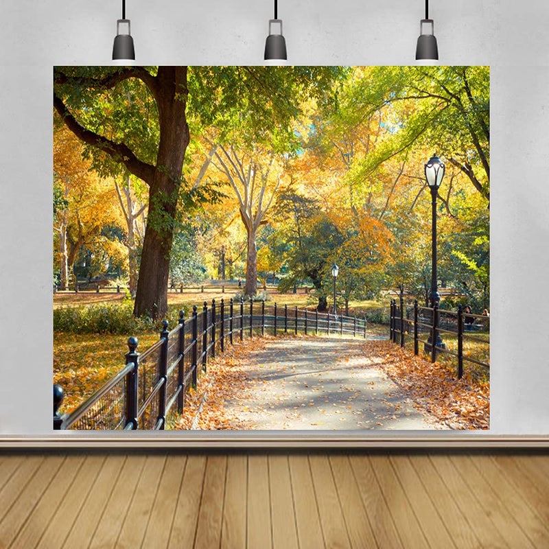 Laeacco New York City Central Park Photography Background 10x8ft Coloful Autumn Day Backdrops Landscape Road Lamp Fallen Leaves Trees Natural Backdrops Studio Photographic Props - Image 3